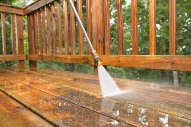 Animal Enclosure Cleaning in Riverton, WY